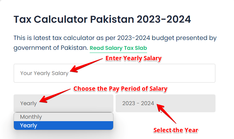 Fill Form of Pakistan Salary Tax Calculator