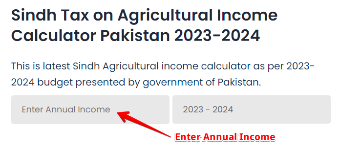 Enter Annual Income on Sindh Agricultural Tax Income Calculator