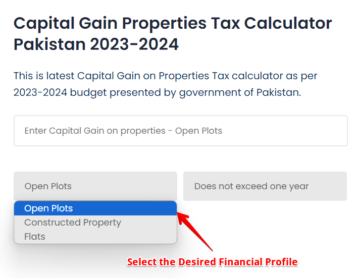 Select Desired Financial Profile on Capital Gain Properties Tax Calculator