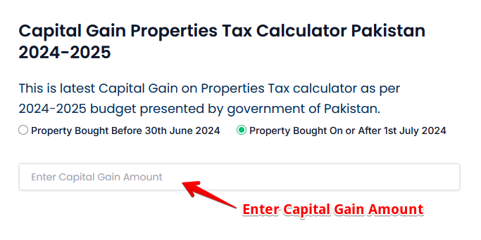 Enter Capital Gain Amount