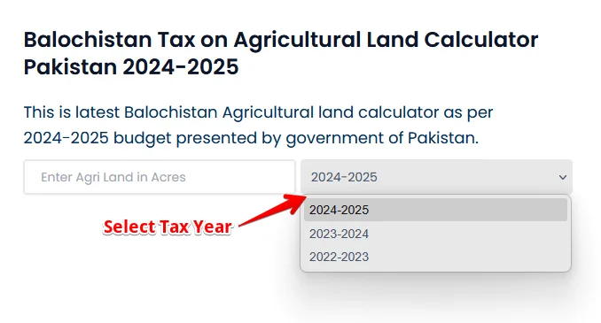 select-tax-year