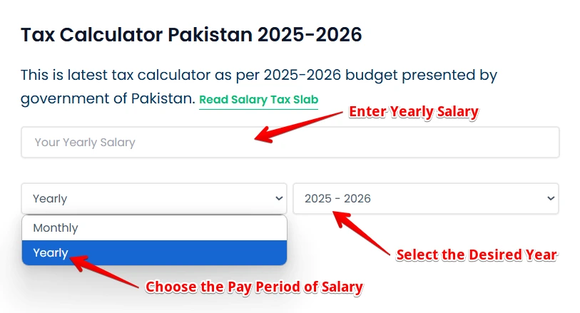 Fill Form of Pakistan Salary Tax Calculator